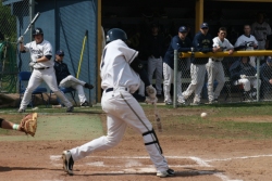 Action Shot